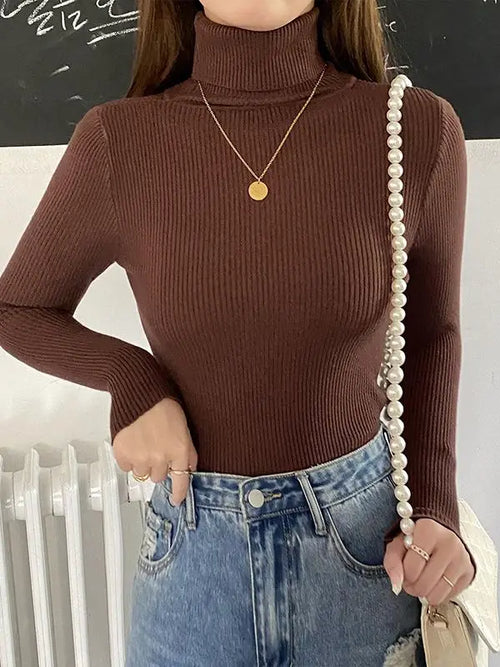 Wunderschöner kuscheliger Pullover mit Rollkragen