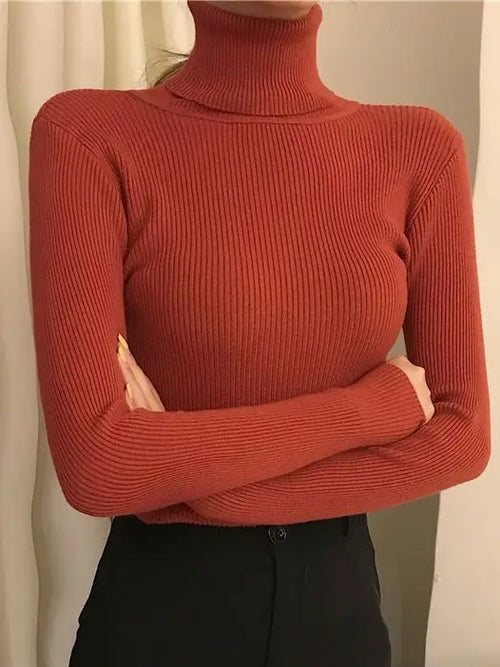 Wunderschöner kuscheliger Pullover mit Rollkragen