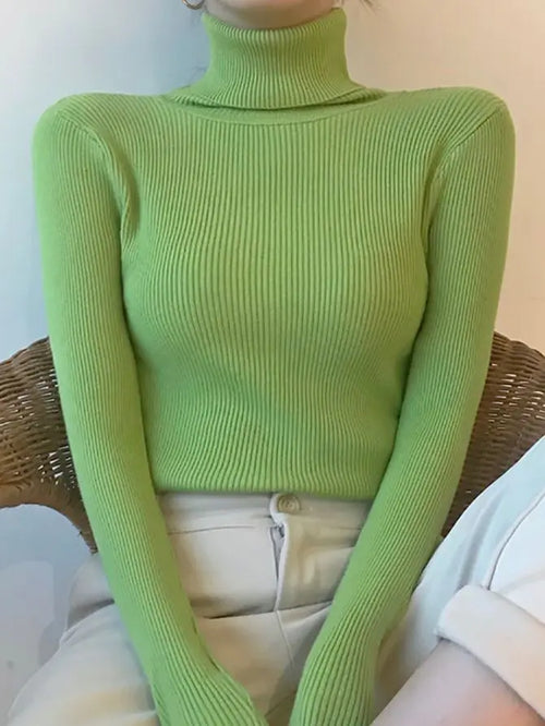 Wunderschöner kuscheliger Pullover mit Rollkragen